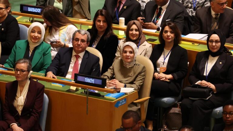 Bakan Gökaş ​​Birleşmiş Milletler Devlet Komisyonu toplantısına katıldı