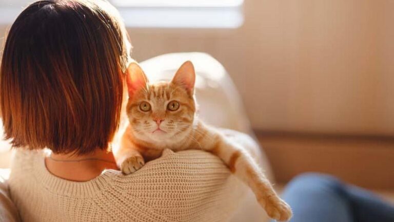 Evde hayvan beslenmesi dijital bağımlılığı ortadan kaldırarak