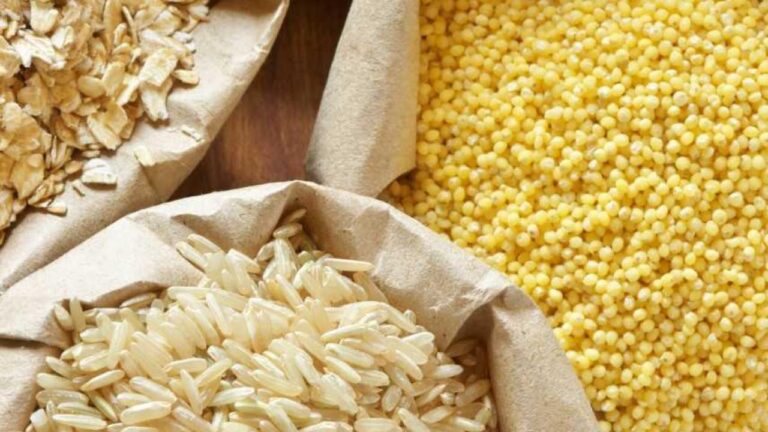 Southern Tahıl İhracatı -EST 1,7 milyar dolara ulaştı